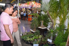 Plantas de belleza exótica en el vivero de la Feria de Puebla 2016