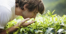 El sentido de olfato se encuentra altamente conectado con la salud.