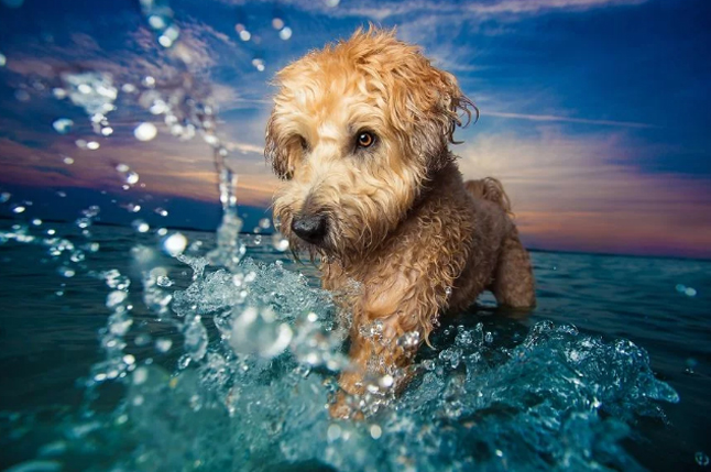 Click to enlarge image 1.jpg Click to enlarge image 1.jpg