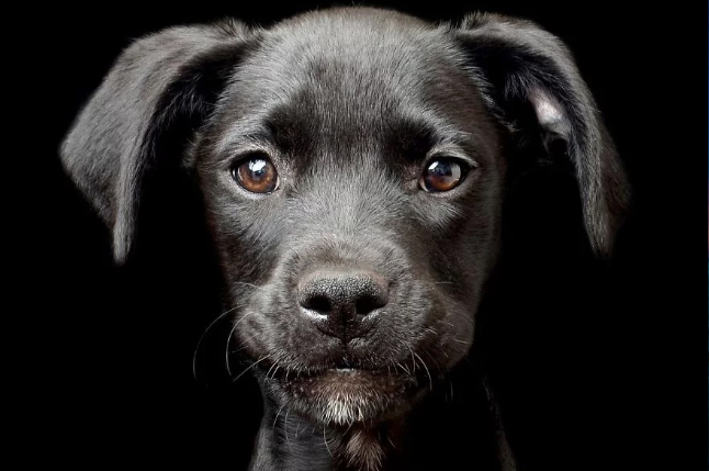 Click to enlarge image 1.jpg Click to enlarge image 1.jpg