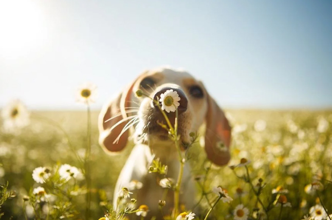 Click to enlarge image 1.jpg Click to enlarge image 1.jpg