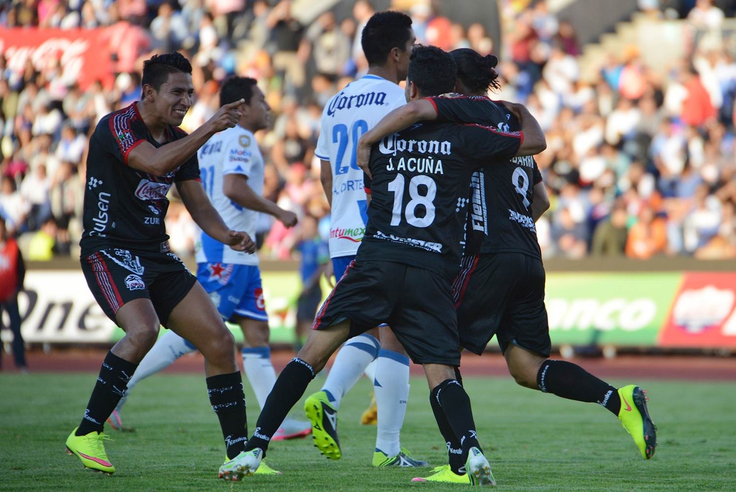 Click to enlarge image lobos buap_2.JPG