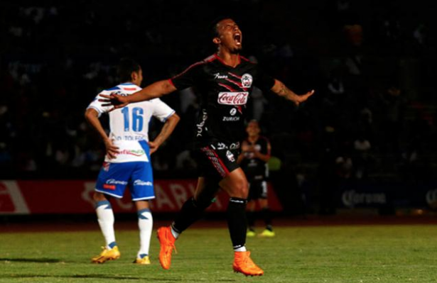 Click to enlarge image lobos buap_2.JPG