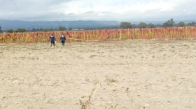 La zona fue acordonada para realizar las diligencias    