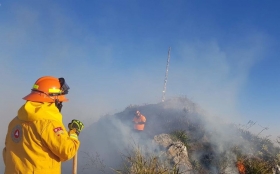 Combaten incendio forestal en el Cerro de la Silla