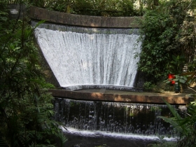 Parque Nacional de Cupatitzio.