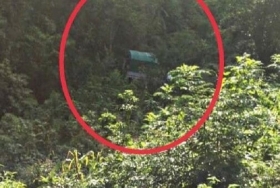 El vehículo no volcó, solo avanzó de frente en la ladera, deteniéndose con un árbol.