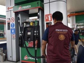precios de los combustibles se debe al desplome del petróleo