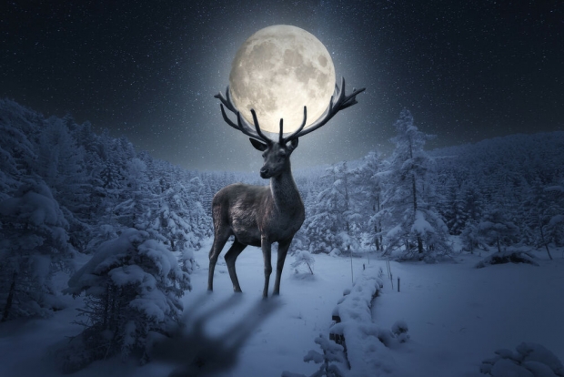 Superluna de ciervo julio 2022: a qué hora, cuándo y dónde verla