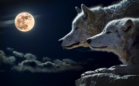 Luna de Lobo: primera de las 12 lunas llenas de 2021