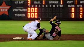 Pericos vence a Tigres y amarra serie