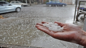 Protección Civil del municipio atendió la contingencia  