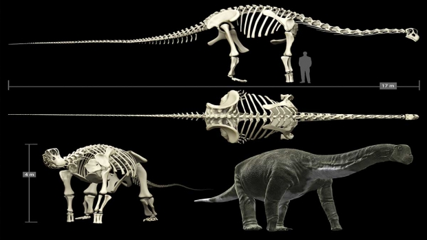 Hallan un titanosaurio de 140 millones de años, el más antiguo del mundo