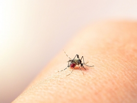 Salud reporta 726 casos confirmados de dengue en Puebla