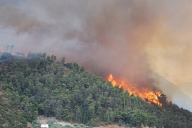 Incendios forestales en Puebla afectan municipios del norte de la entidad