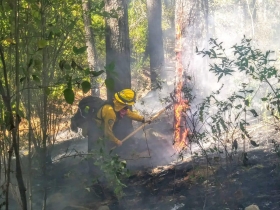 Icendio forestal en el volcán Iztaccíhuatl fue liquidado