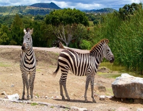 Busca ser uno de los parques más sustentables en la región de América Latina.