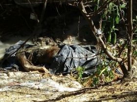 Podría tratarse de un indigente o drogadicto