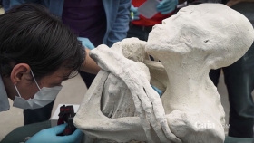El cuerpo momificado tiene un cráneo atípicamente grande