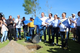 Se plantaron 50 mil árboles de 1.5 a 4 metros.