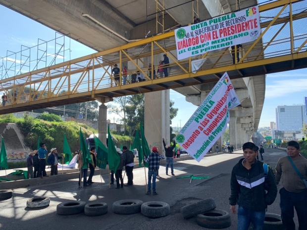 La zona del acceso al Parque Industrial  Finsa es una de las más afectadas 