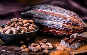 El cacao era un alimento sagrado en culturas prehisp&aacute;nicas.