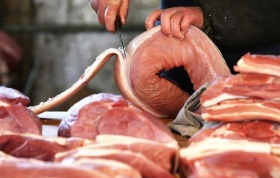 Llega a México primer cargamento de carne de cerdo procedente de Alemania