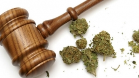 Aprueban uso de la marihuana con fines recreativos
