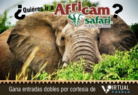 Si vives en Puebla y quieres ir a @AfricamSafari, tenemos entradas dobles